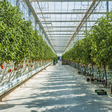 GreenCoop